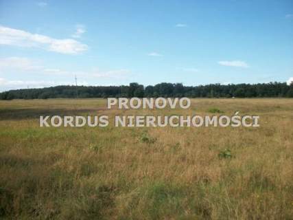 Działka budowlana na sprzedaż, 1000 m2, Smogolice
