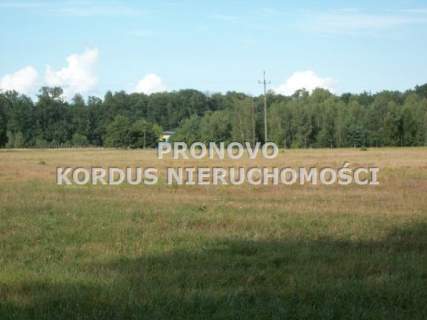 Działka budowlana na sprzedaż, 1000 m2, Smogolice