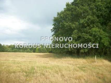 Działka budowlana na sprzedaż, 1000 m2, Smogolice