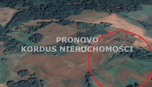 działka rolna Łabędzie gm. Drawsko Pomorskie