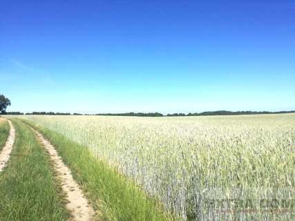 Działka rolna na sprzedaż, 44100 m2, Długołęka