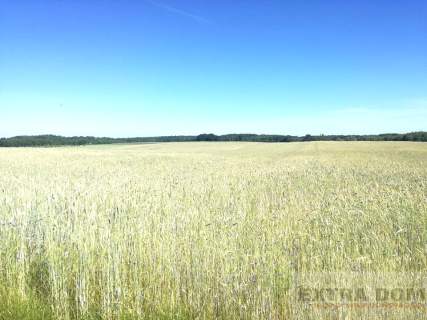 Działka rolna na sprzedaż, 44100 m2, Długołęka