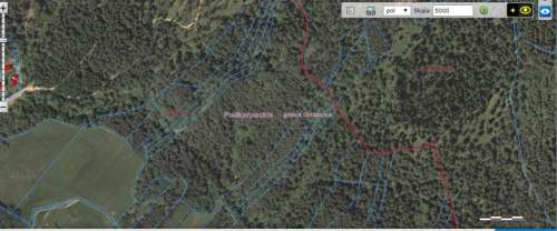ORELEC,GM.OLSZANICA,POW.LESKI,LAS 7000M2.