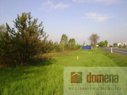 Działka inwestycyjna na sprzedaż, 9800 m2, Torzym