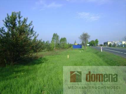 Działka inwestycyjna na sprzedaż, 9800 m2, Torzym
