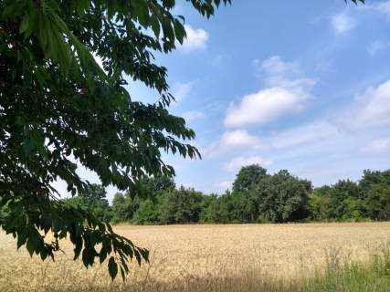 Działka budowlana na sprzedaż, 1000 m2, Orle Wielkie