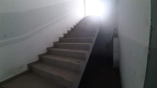 piwnica do własnej adaptacji