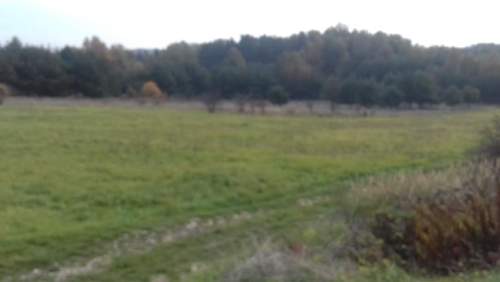 Działka rolna na sprzedaż, 1528 m2, Sadowie