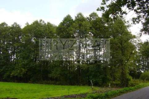 Działka budowlana na sprzedaż, 5600 m2, Budy Barcząckie