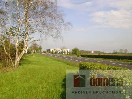 Działka inwestycyjna na sprzedaż, 9800 m2, Torzym