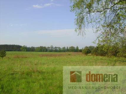 Działka inwestycyjna na sprzedaż, 9800 m2, Torzym