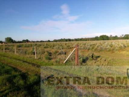 Działka rolna na sprzedaż, 50000 m2, Nowogard