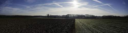 Kampinos 5 ha z siedliskiem za 650 000 PLN