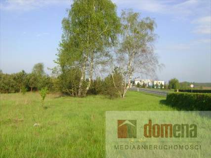 Działka inwestycyjna na sprzedaż, 9800 m2, Torzym