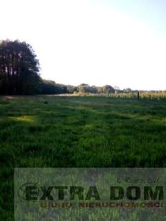 Działka rolna na sprzedaż, 50000 m2, Nowogard