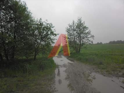 działka rolna