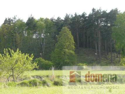 Działka rekreacyjna na sprzedaż, 2500 m2, Bledzew