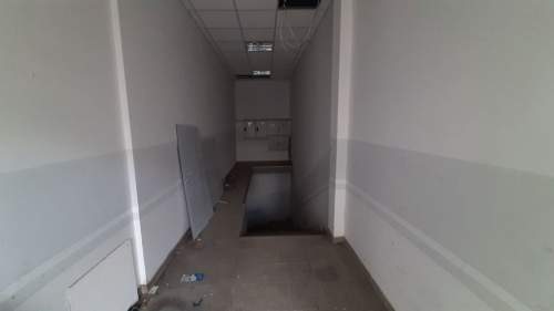 piwnica do własnej adaptacji