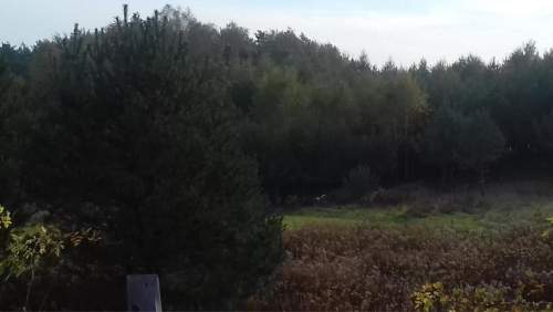 Działka rolna na sprzedaż, 1528 m2, Sadowie