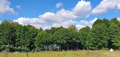 Rukławki, działki nad jeziorem Dadaj.