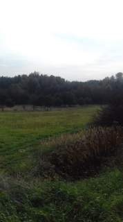 Działka rolna na sprzedaż, 1528 m2, Sadowie