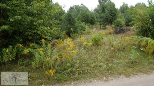 Działka budowlana na sprzedaż, 2220 m2, Stróża