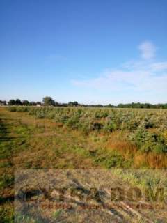 Działka rolna na sprzedaż, 50000 m2, Nowogard
