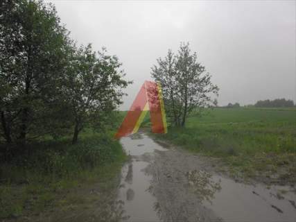 działka rolna