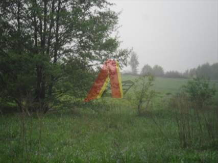 działka rolna