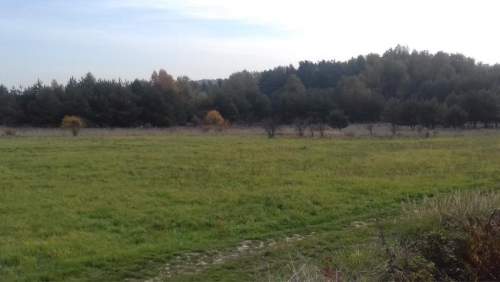 Działka rolna na sprzedaż, 1528 m2, Sadowie