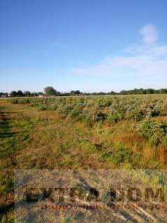 Działka rolna na sprzedaż, 50000 m2, Nowogard