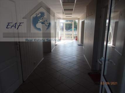 Lokal użytkowy do wynajęcia, 210 m2, Sękocin Nowy