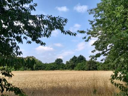 Działka budowlana na sprzedaż, 1000 m2, Orle Wielkie