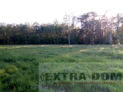 Działka rolna na sprzedaż, 50000 m2, Nowogard