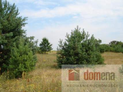 Działka budowlana na sprzedaż, 1250 m2, Bledzew
