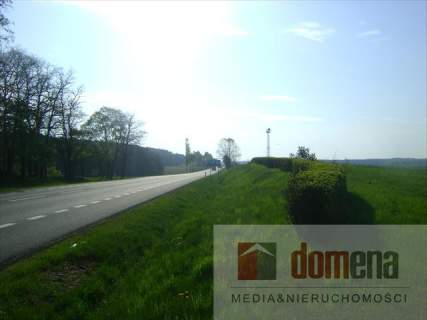Działka inwestycyjna na sprzedaż, 9800 m2, Torzym