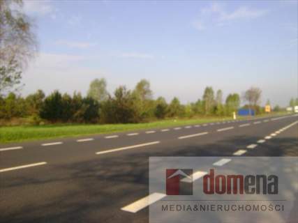 Działka inwestycyjna na sprzedaż, 9800 m2, Torzym