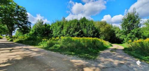 Rukławki, działki nad jeziorem Dadaj.