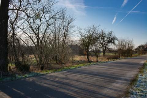 Kampinos 5 ha z siedliskiem za 650 000 PLN