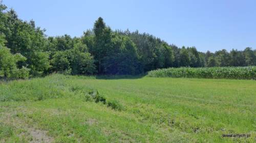 Działka leśna na sprzedaż, 22000 m2, Teofilówka