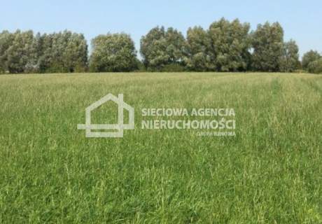 Atrakcyjna działka koło Ustki pow.12000 m2