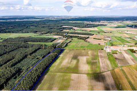 Las mieszany 3,8320 ha Zduny 7 km od Krotoszyna
