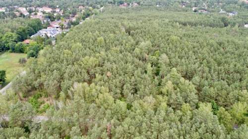 Działka leśna na sprzedaż, 1650 m2, Warszawa
