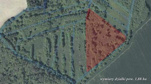 1,9 ha łąk ok 1,5 km od zespołu pałacowo-parkowego
