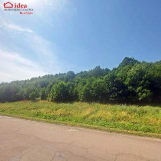 Działka rolna na sprzedaż, 2200 m2, Obarzym