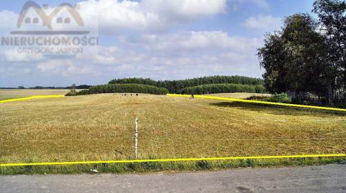 Działka na sprzedaż, 25000 m2, Miechęcino