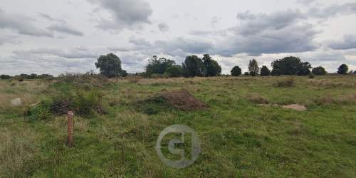 4 działki budowlane w Wieprzycach pod Gorzowem