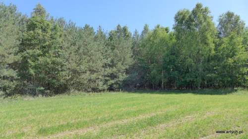 Działka leśna na sprzedaż, 22000 m2, Teofilówka
