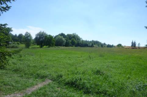DOM W BĘDARGOWIE,NA DZ.2983 M2,łącznie-1.8815HA.