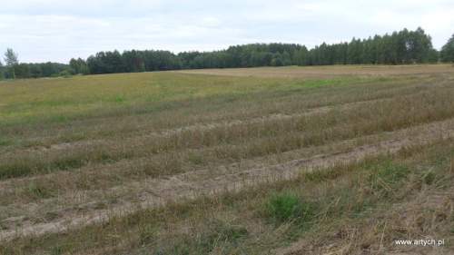 Działka rolna na sprzedaż, 15700 m2, Telaki